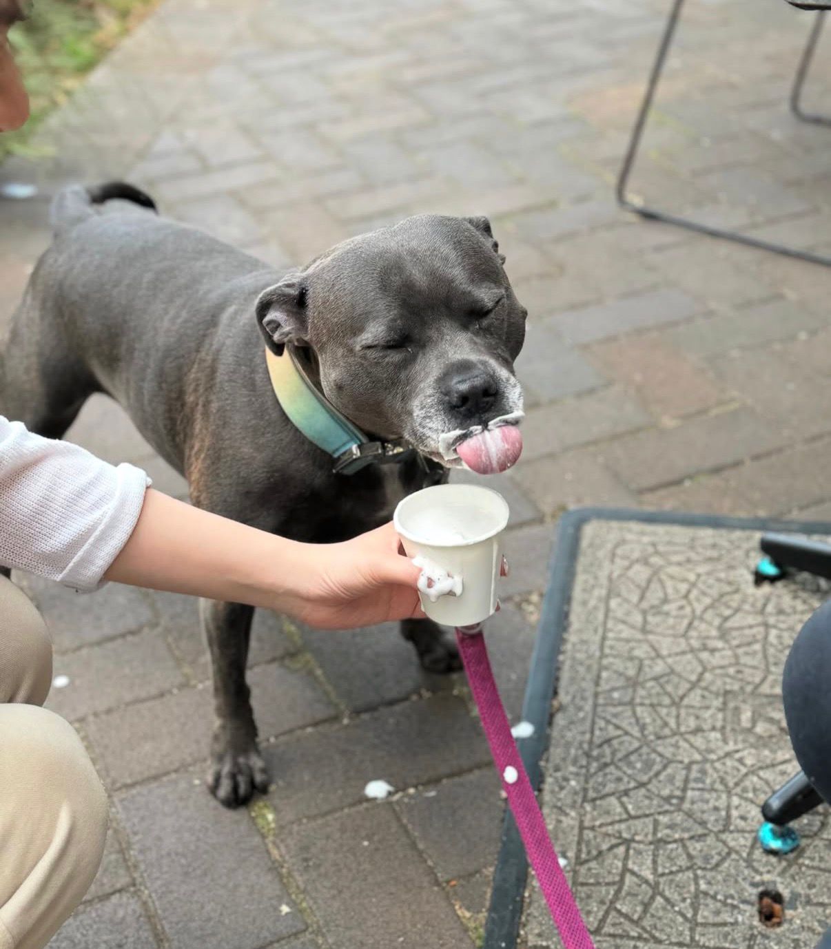 Zenius latte art
